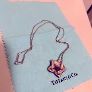 Elsa Peretti Tiffany Large Star Necklace